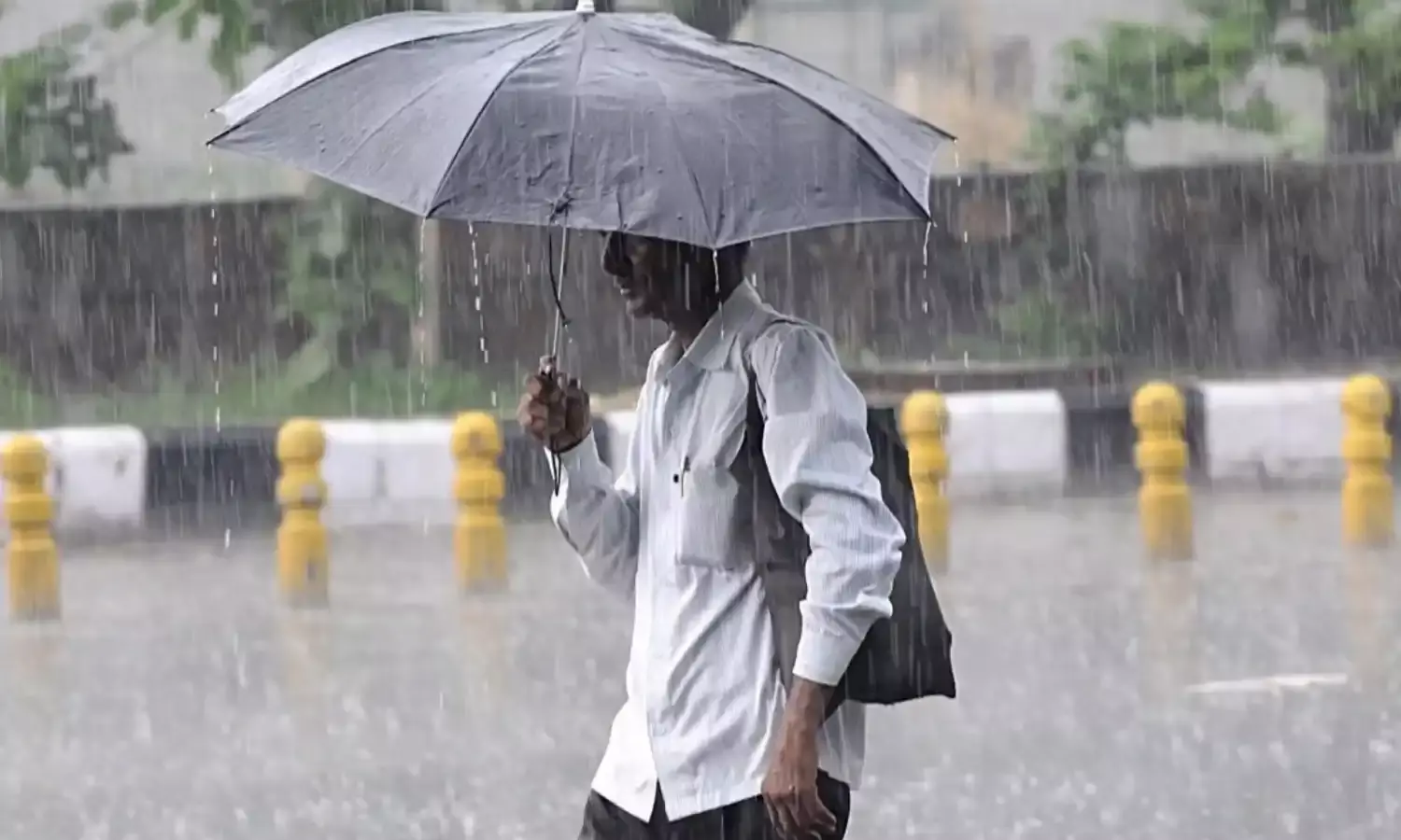 MP Weather Update: एमपी में फिर बदला मौसम का मिजाज, कई जिलों में बारिश और बिजली गिरने की संभावना, यहां जाने अपने जिले का हाल