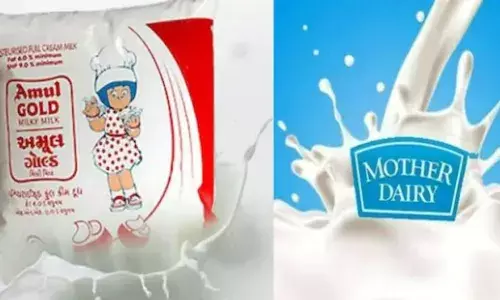 Milk Price Hike : अमूल के बाद मदर डेरी ने भी बढ़ाई दूध की कीमत, जानिए क्या है वजह Milk Price Hike : अमूल के बाद मदर डेरी ने भी बढ़ाई दूध की कीमत, जानिए क्या है वजह