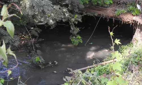 Bhopal News: भोपाल महापौर ने बायोमेडिकल अपशिष्ट छोड़ने वाले अस्पतालों को दी चेतावनी, अब नालों में फेंका कचरा तो होगी ये कार्रवाई