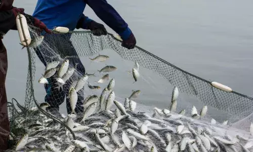 Chhattisgarh News Chhattisgarh News