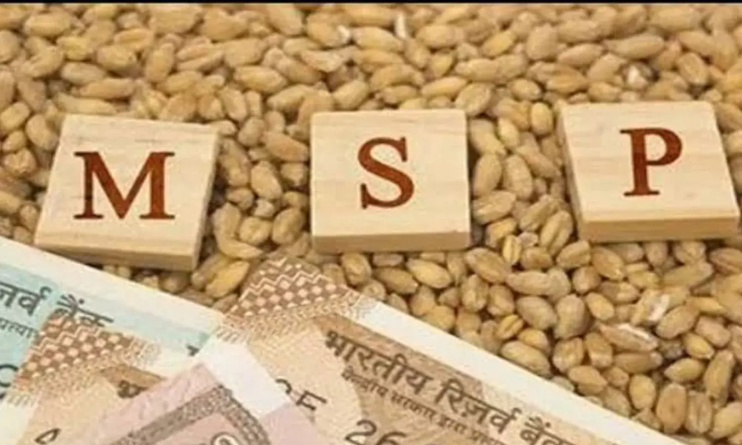 केंद्र सरकार ने 14 खरीफ फसलों की बढ़ाई MSP, मंत्री अश्विनी वैष्णव ने दी जानकारी