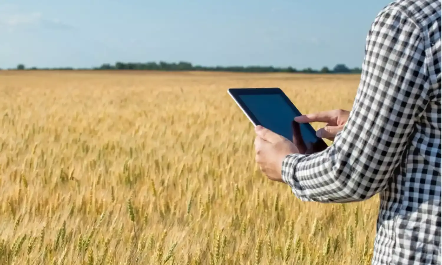 Gwalior News: जमीन सर्वे के दौरान राजस्व निरीक्षक और पटवारी पर हुआ हमला, बंधन बनाकर बनाया वीडियो