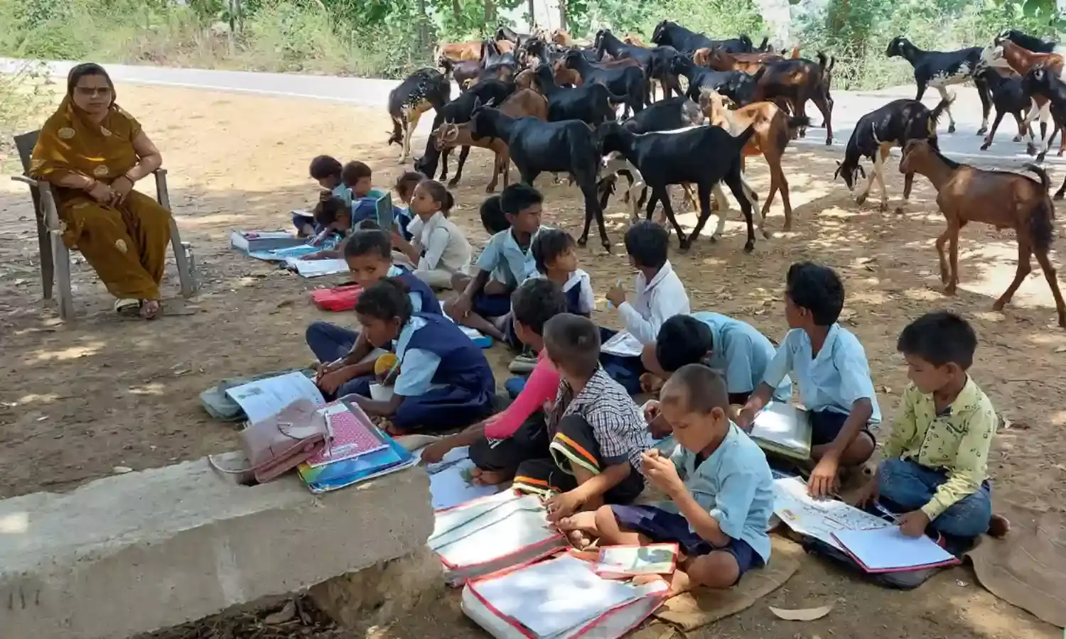 MP NEWS: उपर नहीं है आसमान, ना ही पीने का शुद्ध पानी, पेड़ के नीचे चल रहा है प्राथमिक विद्यालय,11 साल से प्रशासन की नहीं गई नजर