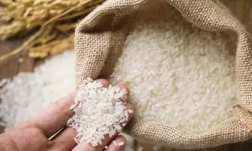 Balaghat News: बालाघाट से सप्लाई किए गए 10 करोड़ के घटिया चावल, फिर भी  मिलर्स को नहीं किया गया ब्लैकलिस्ट, जानिए पूरा मामला