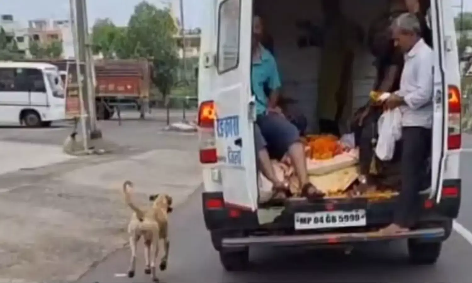 Viral Video: सच में कुत्ते ज्यादा कोई नहीं होता वफादार, मरने के बाद भी नहीं छोड़ा साथ, दौड़ते-दौड़ते पहुंचा मुक्तिधाम, देखें वीडियो