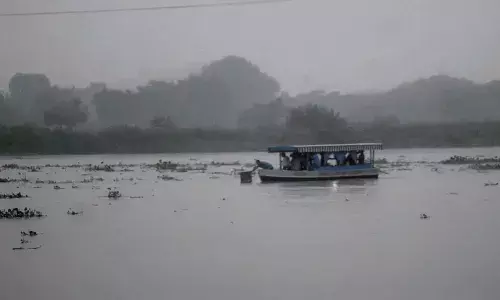 Sheopur News: श्योपुर में बारिश ने मचाई तबाही, कई इलाके जलमग्न, रास्ता पार करने के लिए लोग इस्तेमाल कर रहे SDRF की नाव