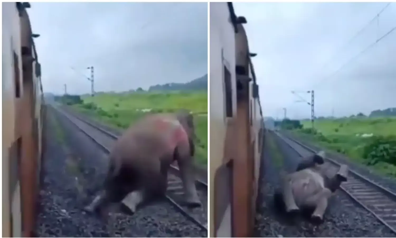 Heartbreaking Video:असम में ट्रेन की चपेट में आ गया हांथी, फिर उठ नहीं पाया, वीडियो देख इस अभिनेता का पसीजा दिल