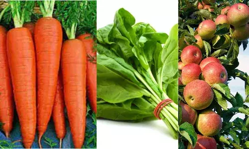 Diabetes : डायबिटीज में बेहद गुणकारी हैं ये 5 लो ग्लाइसेमिक इंडेक्स फूड्स