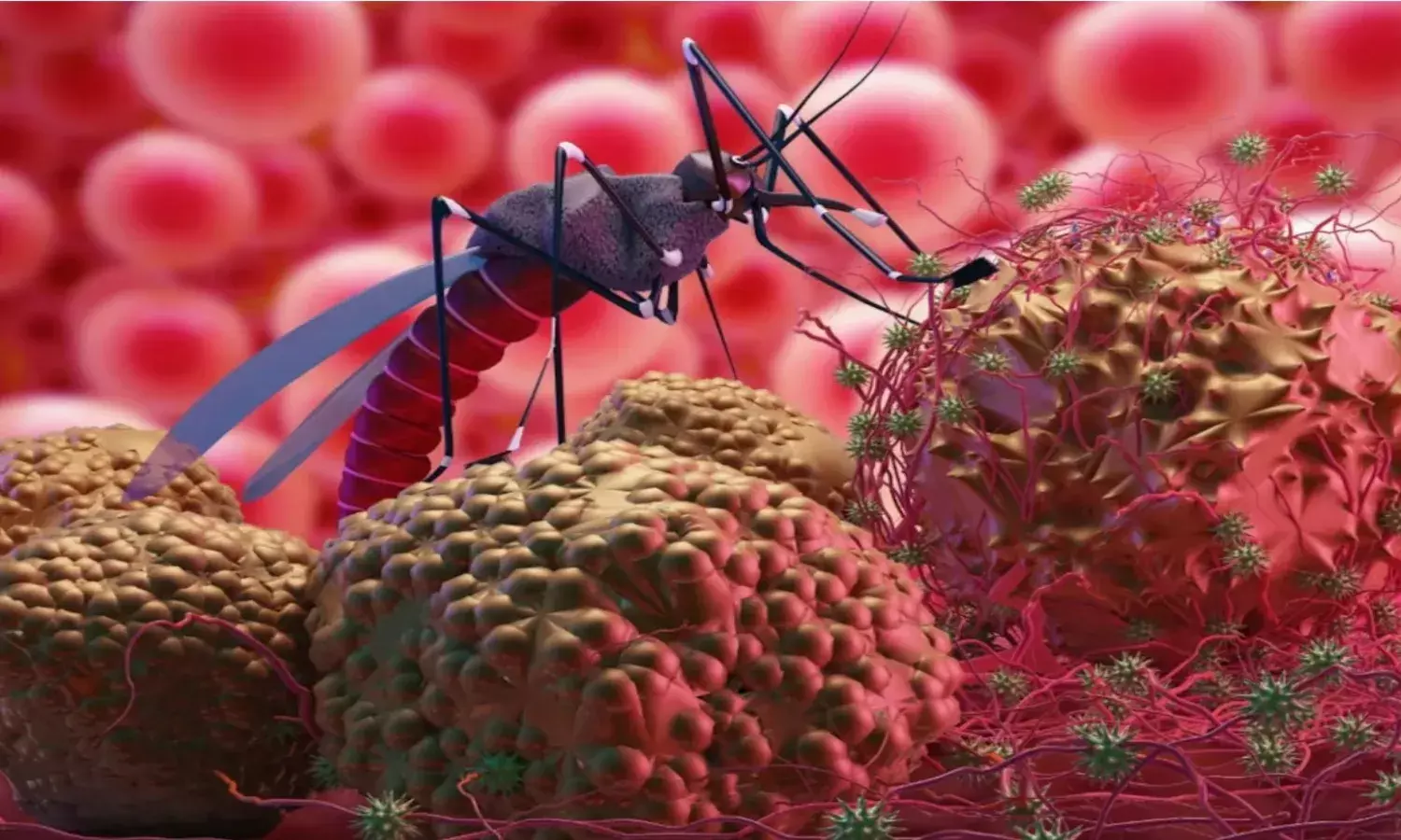 Chandipura Virus: गुजरात के बाद राजस्थान और मध्य प्रदेश पहुंचा चांदीपुरा वायरस, अब तक इतने बच्चों की हुई मौत