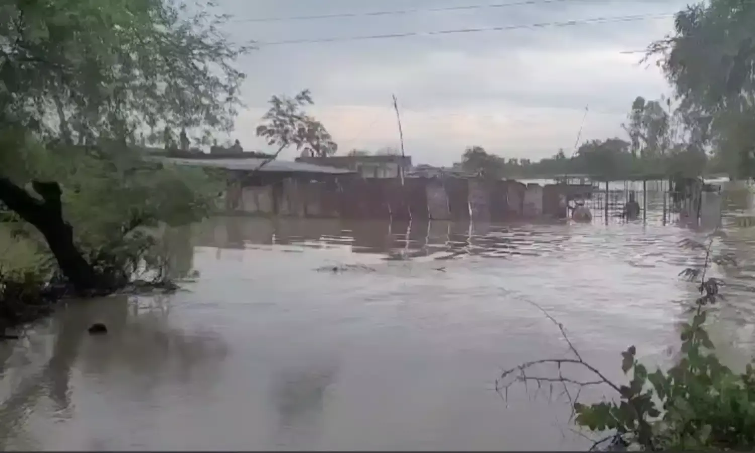 Ashok Nagar: अशोक नगर में भारी बारिश से मची तबाही, 60 से ज़्यादा घर गहरे पानी में डूबें, देखें वीडियो