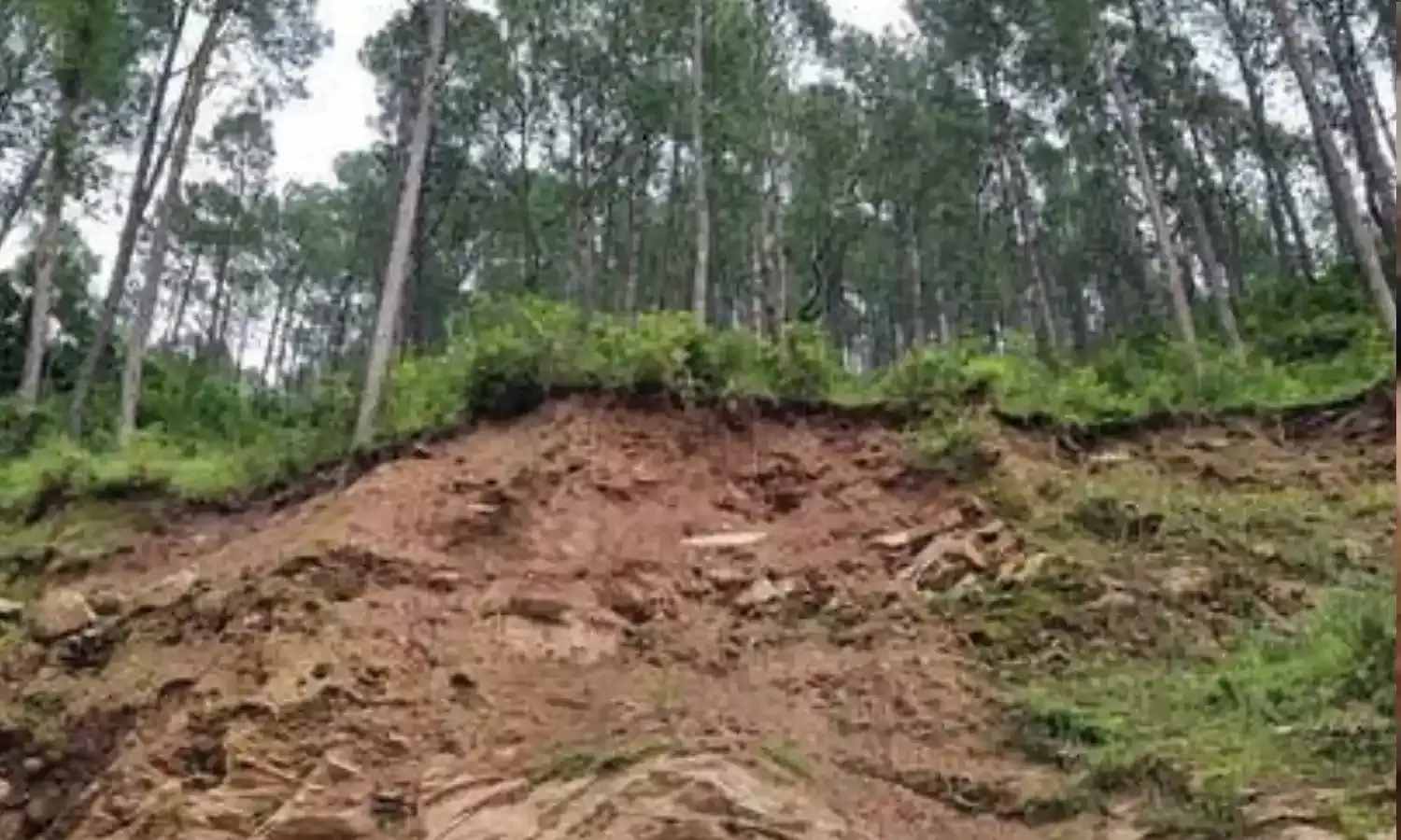 Kerala Landslide: वायनाड में बड़ा हादसा, भूस्खलन में फंसे सैकड़ों लोग, 43 की मौत