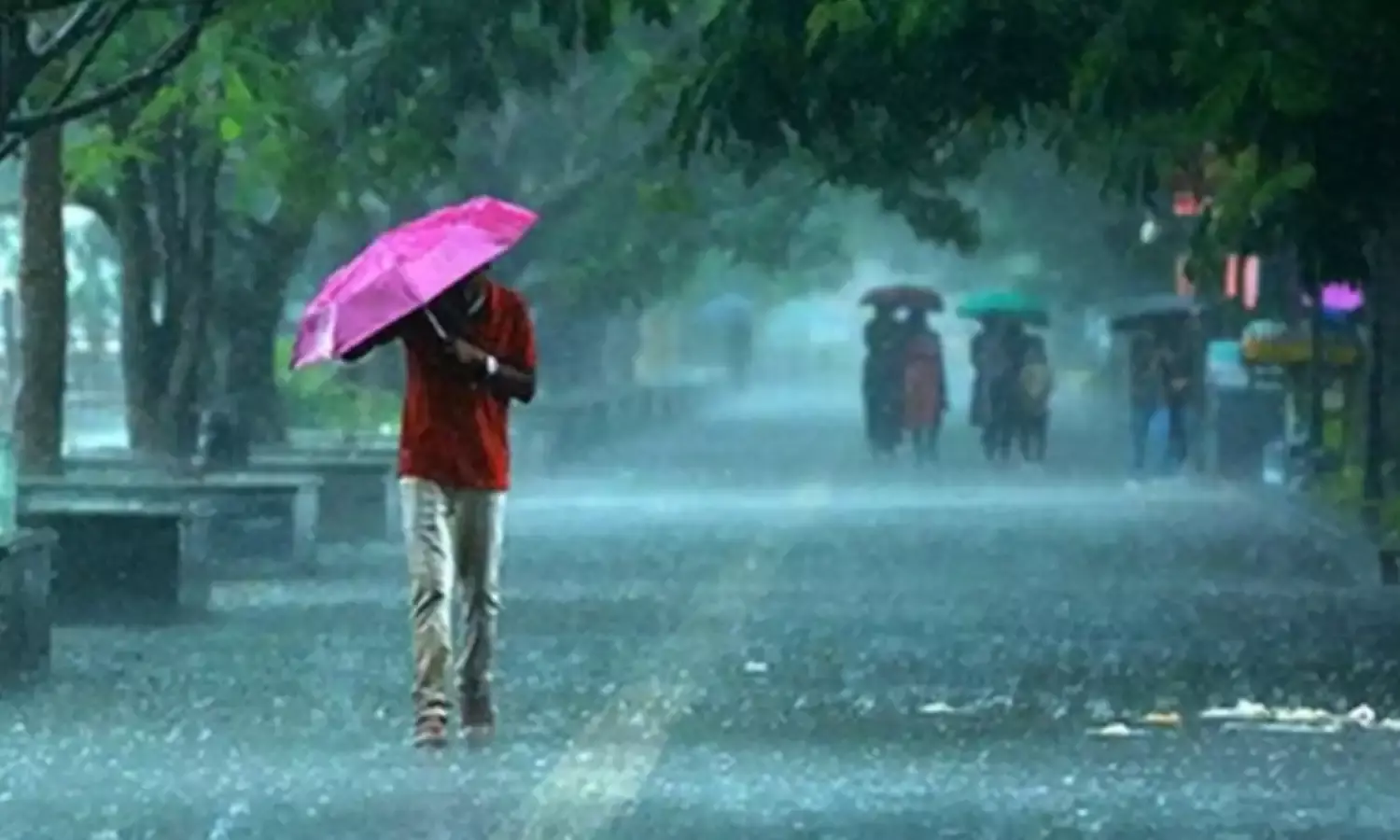 MP Weather : भाेपाल में तेज बारिश, कई जिलों में IMD का रेड अलर्ट