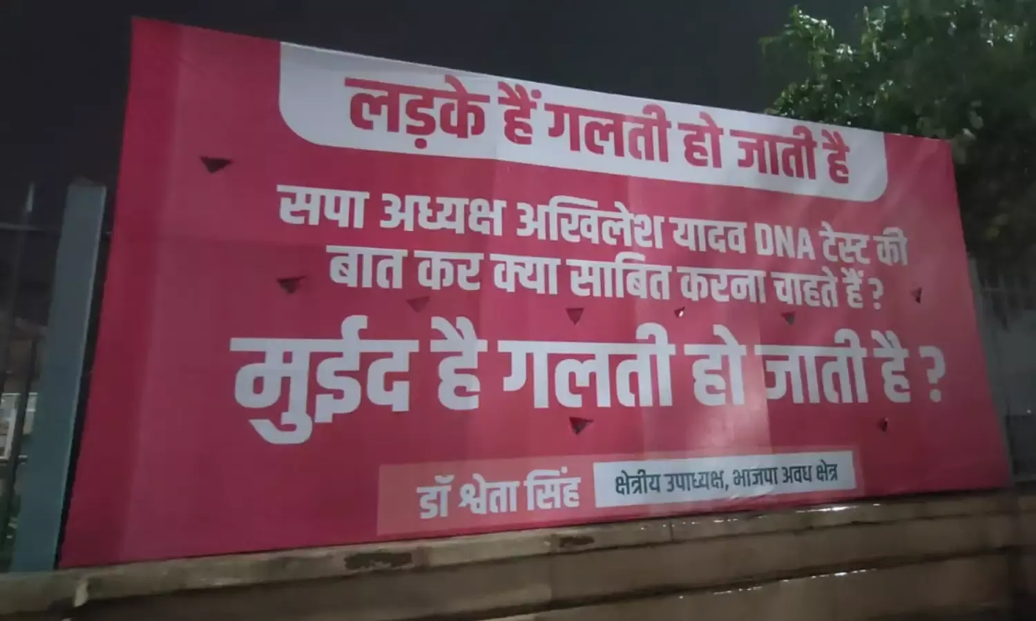 मोईद खान है गलती हो जाती है... भाजपा नेत्री ने लगाए पोस्टर