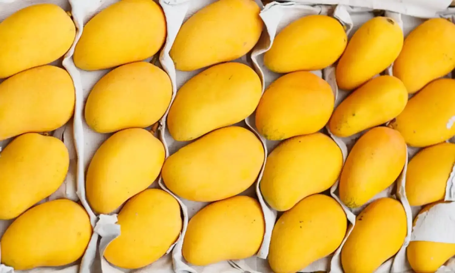 राहुल गांधी सहित इन 7 नेताओं को पाकिस्‍तान से गिफ्ट में मिले आम, बीजेपी नेता बोले....