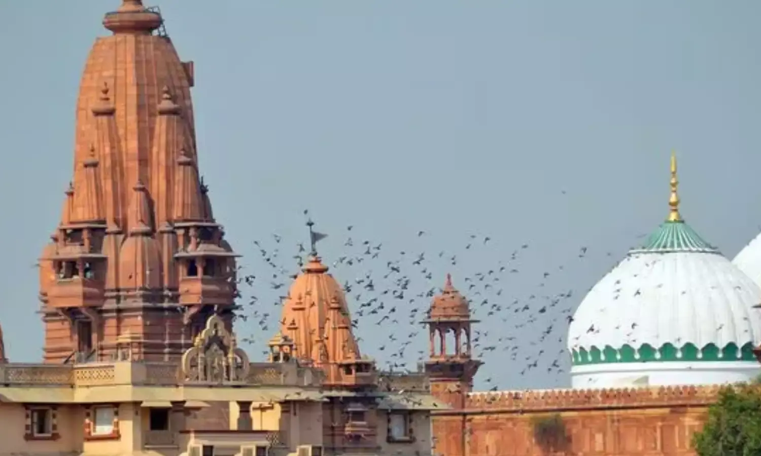 श्रीकृष्ण जन्मभूमि विवादित परिसर के सर्वे पर लगी अंतरिम रोक रहेगी जारी, सुप्रीम कोर्ट ने सुनाया फैसला श्रीकृष्ण जन्मभूमि विवादित परिसर के सर्वे पर लगी अंतरिम रोक रहेगी जारी, सुप्रीम कोर्ट ने सुनाया फैसला