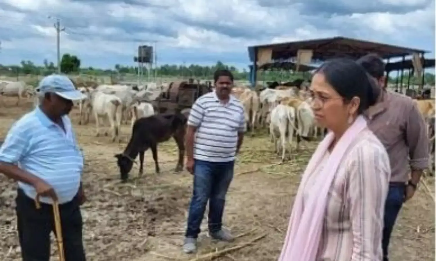 अहिरोरी गोशाला में सीडीओ गुरुरानी को मिली दुर्व्यवस्था, खांड़ाखेड़ा पंचायत सचिव पर गिरी निलंबन की गाज...