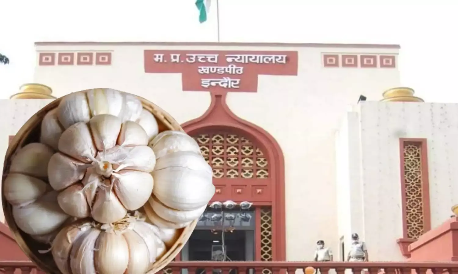 लहसुन मसाला है या सब्जी, हाई कोर्ट ने 9 साल बाद दिया फैसला, किसानों को क्या होगा फायदा लहसुन मसाला है या सब्जी, हाई कोर्ट ने 9 साल बाद दिया फैसला, किसानों को क्या होगा फायदा