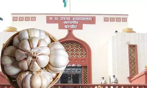 लहसुन मसाला है या सब्‍जी, हाई कोर्ट ने 9 साल बाद दिया फैसला, किसानों को क्या होगा फायदा