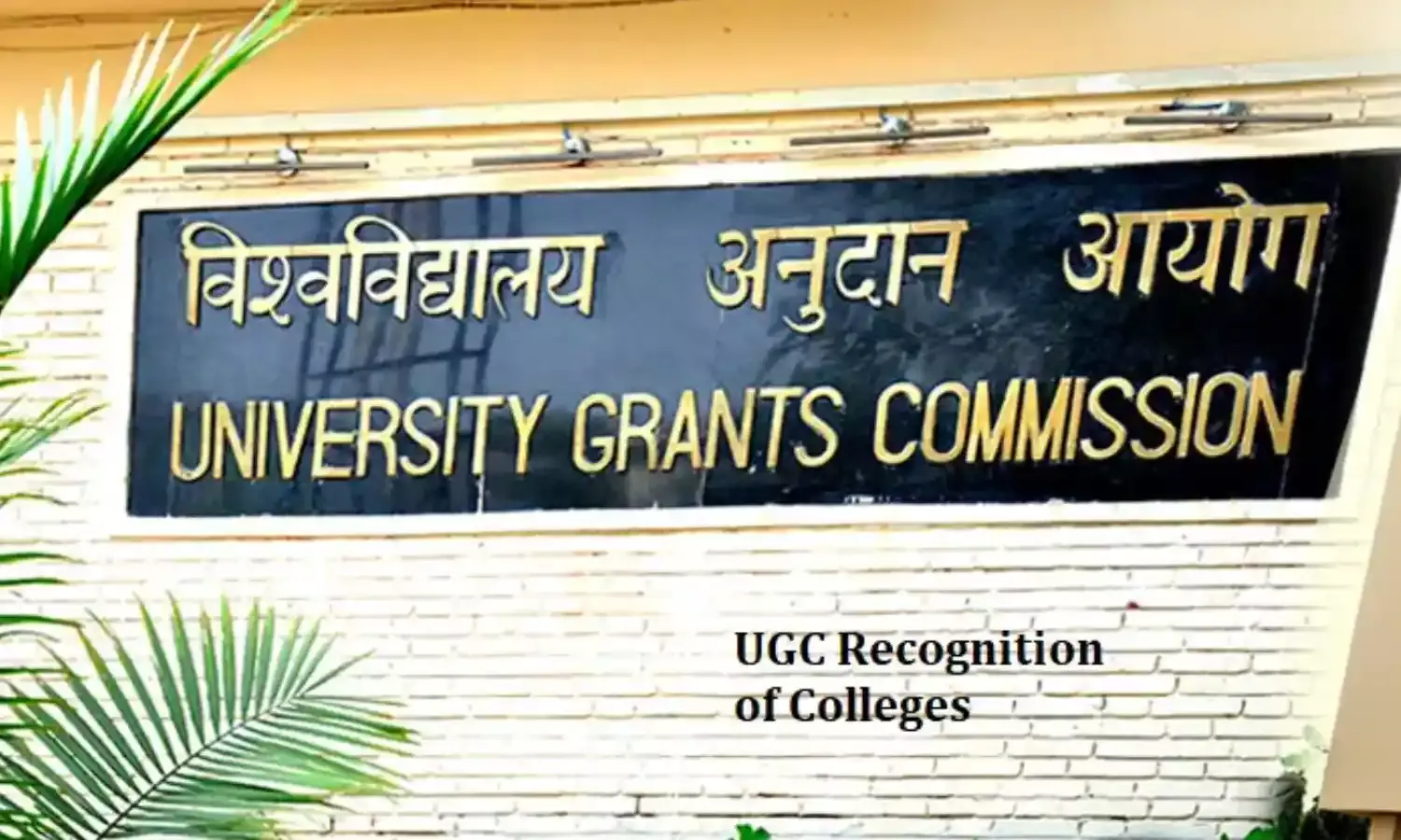 ओपन एंड डिस्टेंस लर्निंग प्रोग्रामों में प्रवेश के लिए UGC की नई प्रक्रिया शुरू, जल्दी देखें डीटेल ओपन एंड डिस्टेंस लर्निंग प्रोग्रामों में प्रवेश के लिए UGC की नई प्रक्रिया शुरू, जल्दी देखें डीटेल