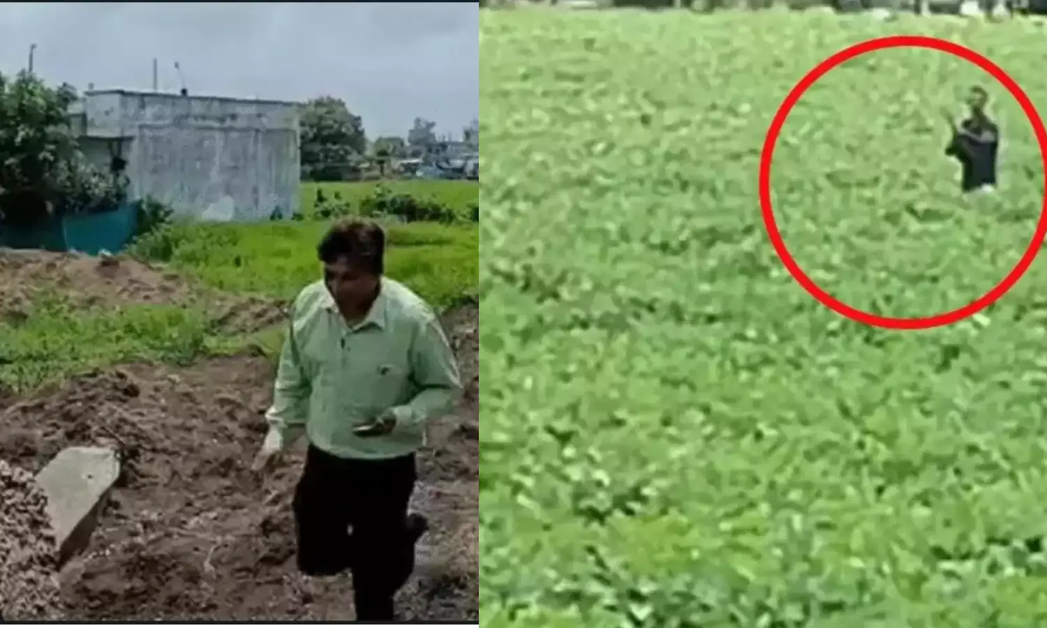 गए थे जमीन नापने, खुद नाप लिए गए तहसीलदार और पटवारी, गार्ड ने कर दी  फायरिंग