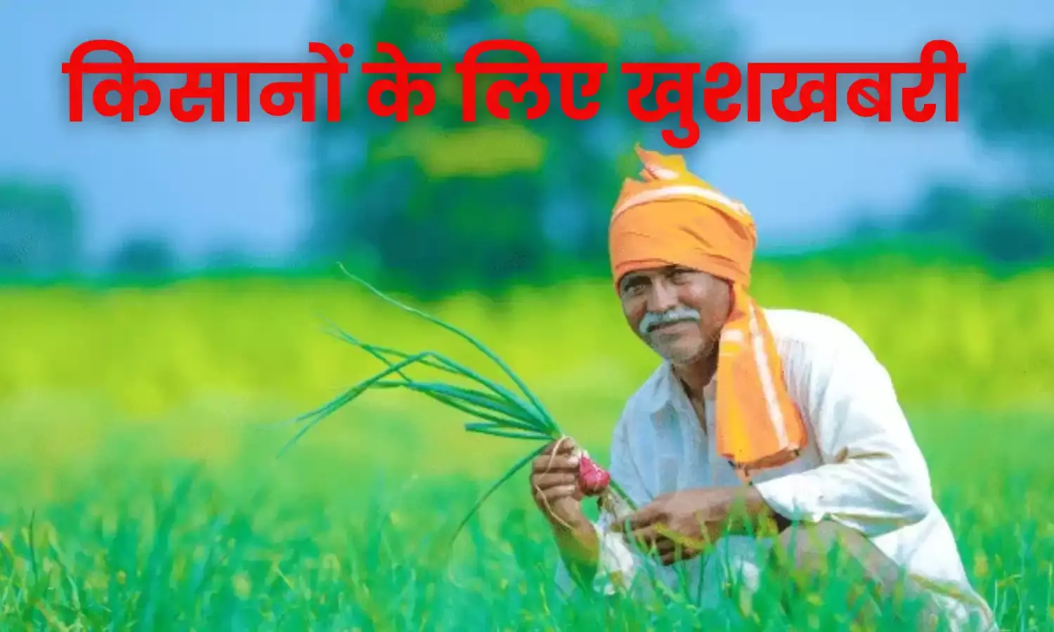 हरियाणा सरकार ने खोला खजाना, फसल पर बोनस का ऐलान