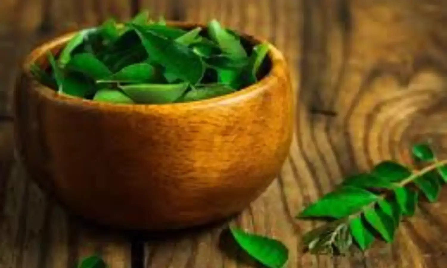 करी पत्ते के जादुई फायदे, वजन घटाने से लेकर बालों की देखभाल तक करी पत्ते के जादुई फायदे, वजन घटाने से लेकर बालों की देखभाल तक