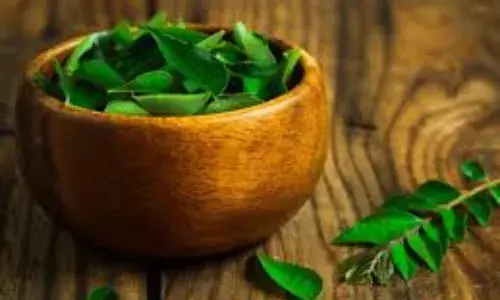करी पत्ते के जादुई फायदे, वजन घटाने से लेकर बालों की देखभाल तक करी पत्ते के जादुई फायदे, वजन घटाने से लेकर बालों की देखभाल तक