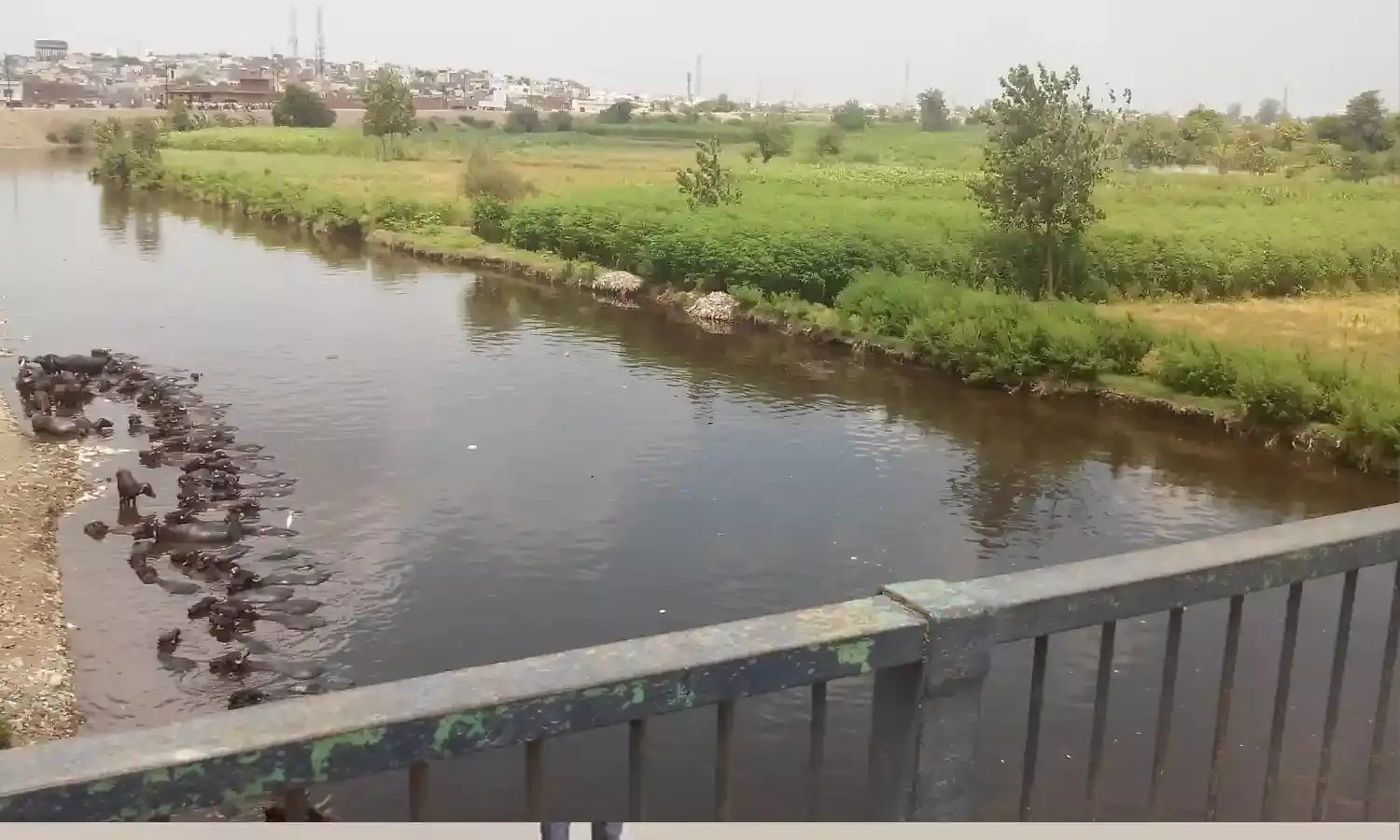 अपनी मर्जी से शादी करने की चाह बन गई मौत की वजह, बहन की हत्या कर शव नदी में फेंकने जा रहे थे दो सगे भाई