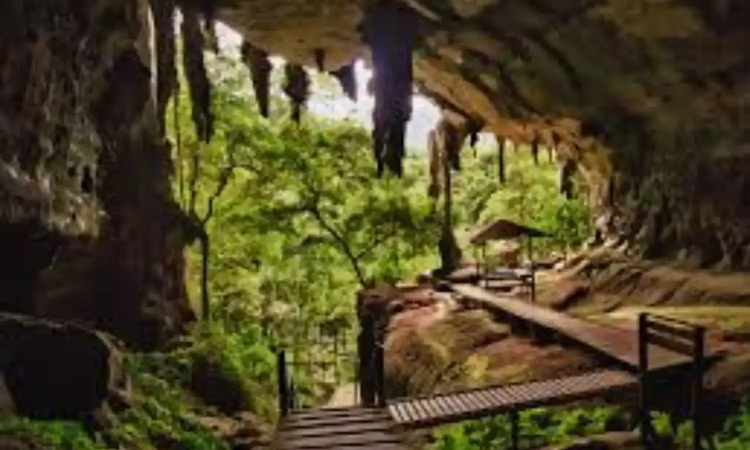 नियाह गुफा, मलेशिया की रहस्यमयी धरोहर और अद्भुत यात्रा अनुभव नियाह गुफा, मलेशिया की रहस्यमयी धरोहर और अद्भुत यात्रा अनुभव