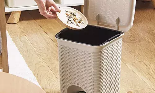 वास्तु के अनुसार दरवाजे पर डस्टबिन क्यों नहीं रखना चाहिए? जानें इसके कारण और समाधान