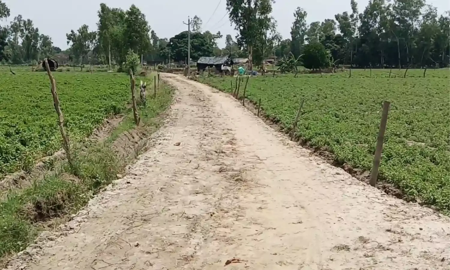 600 मीटर कच्ची सड़क, 600 प्लस लेबर से करा दिया कागजों में काम...