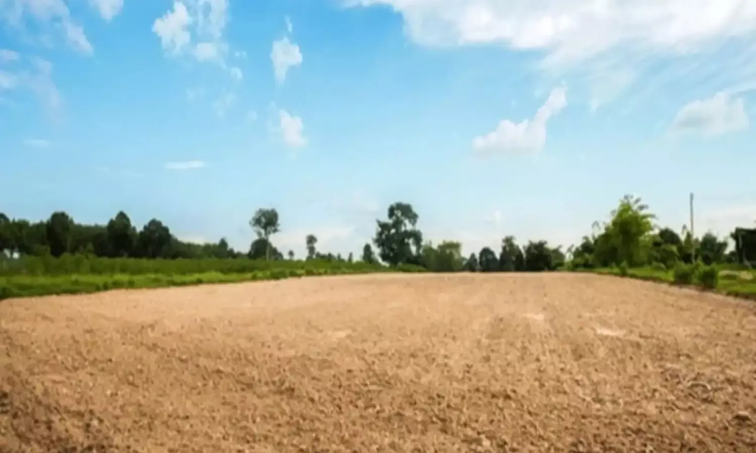 बिहार भूमि सर्वेक्षण 2024: कब्जे से मुक्त और विवाद समाधान की ओर एक कदम बिहार भूमि सर्वेक्षण 2024: कब्जे से मुक्त और विवाद समाधान की ओर एक कदम