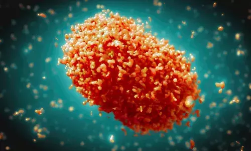 मंकी पॉक्स पर स्वास्थ्य विभाग का अलर्ट, एडवाइजरी जारी...