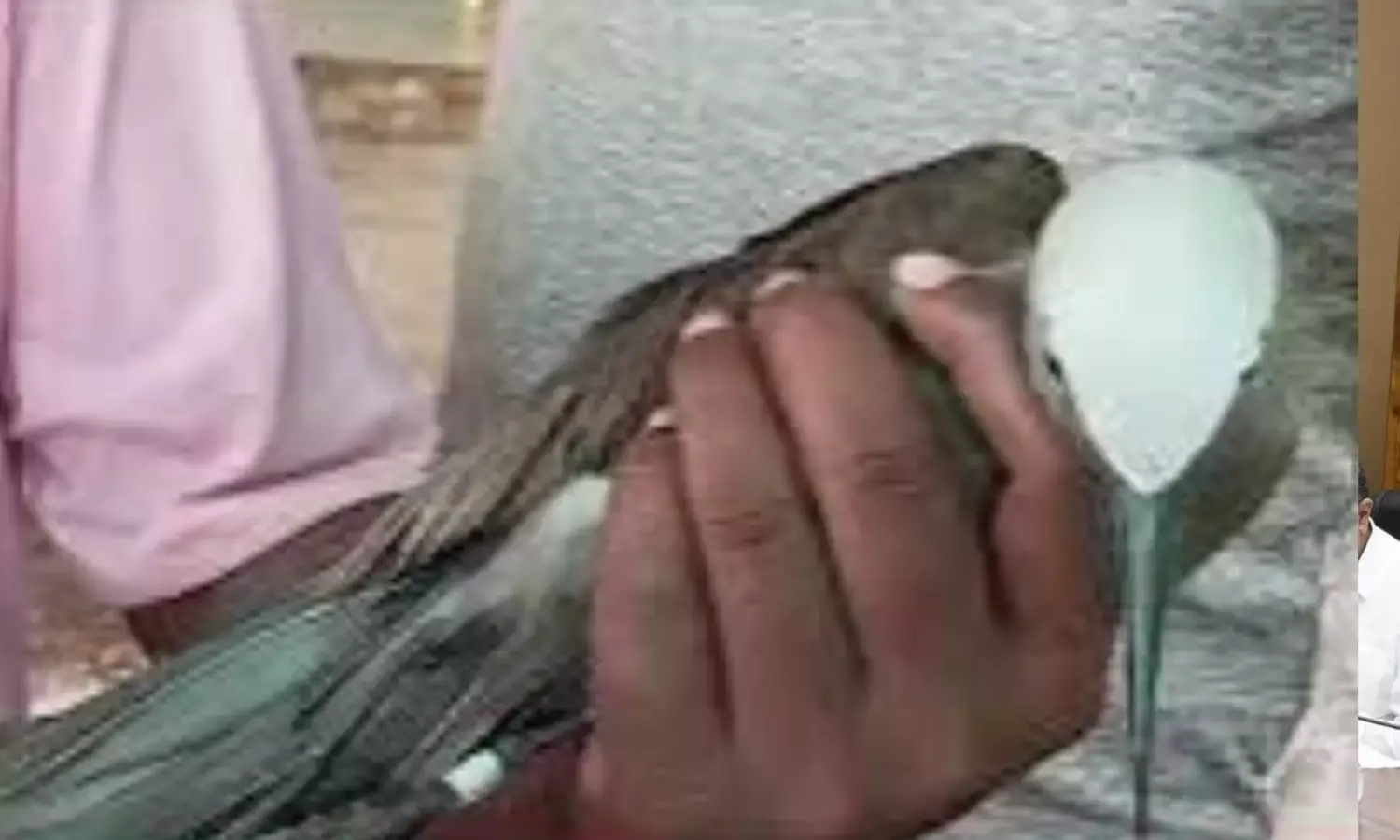 धार में नर्मदा नदी किनारे मिला जीपीएस लगा समुद्री पक्षी, ग्रामीणों ने पुलिस को सौंपा, फिर...