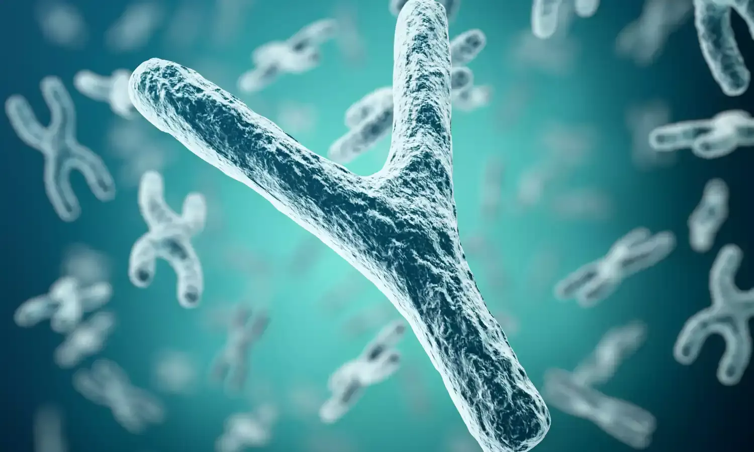 Y क्रोमोसोम का सिकुड़ना, क्या पुरुषों का अस्तित्व खतरे में है?