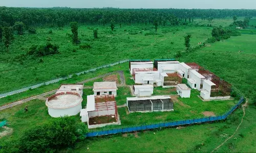 सीएम योगी करेंगे एशिया के पहले राज गिद्ध संरक्षण केंद्र का उद्घाटन...