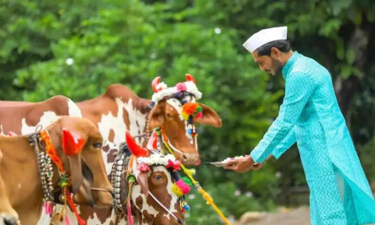 आज मनाया जा रहा है पोला पर्व, छत्तीसगढ़ के अलावा इन राज्यों में मचती है धूम
