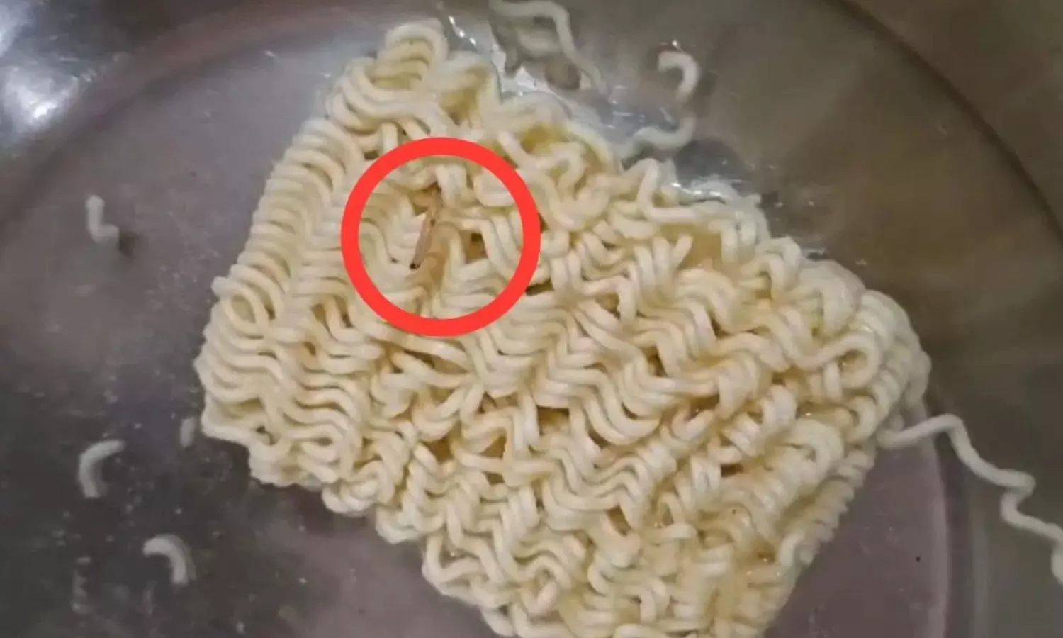 जबलपुर में मैगी में निकला कीड़ा जबलपुर में मैगी में निकला कीड़ा