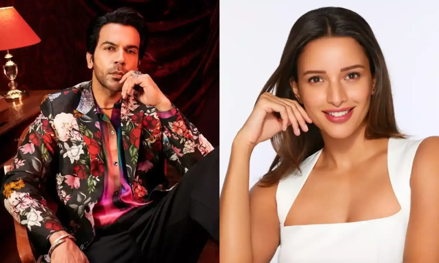 विक्की विद्या का वो वाला वीडियो: राजकुमार राव और त्रिप्ति डिमरी की धमाकेदार जोड़ी और मस्ती से भरी कहानी