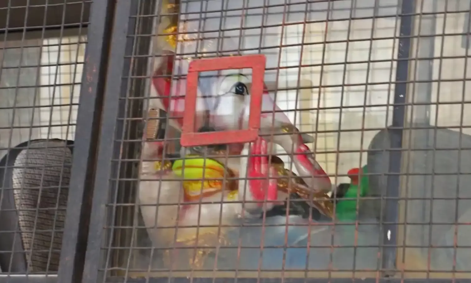 कैद में भगवान गणेश, सोशल मीडिया पर वायरल हो रही इस तस्‍वीर की क्‍या है सच्‍चाई...