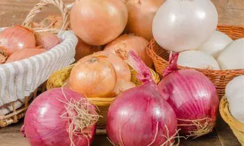 प्याज एक्सपोर्ट करने पर ड्यूटी घटी, 4 मई को हटा था निर्यात प्रतिबंध