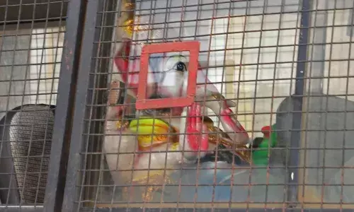 कैद में भगवान गणेश, सोशल मीडिया पर वायरल हो रही इस तस्‍वीर की क्‍या है सच्‍चाई...