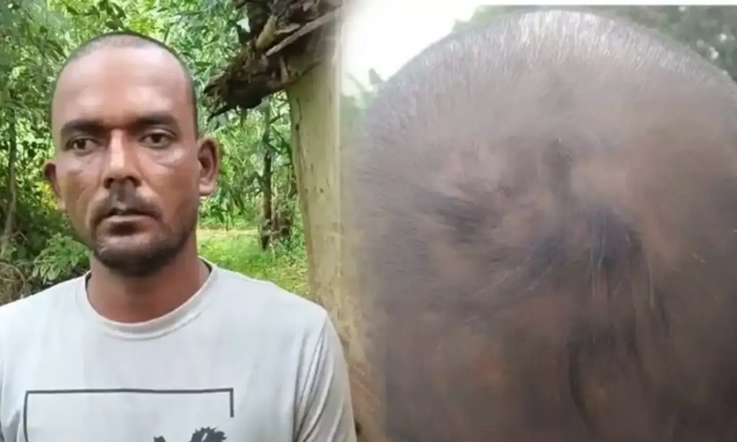 थाना प्रभारी लाइन अटैच, सिपाही निलंबित, मऊगंज एसपी रसना ठाकुर बोलीं आरोप गलत