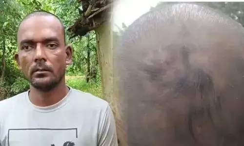 थाना प्रभारी लाइन अटैच, सिपाही निलंबित, मऊगंज एसपी रसना ठाकुर बोलीं आरोप गलत