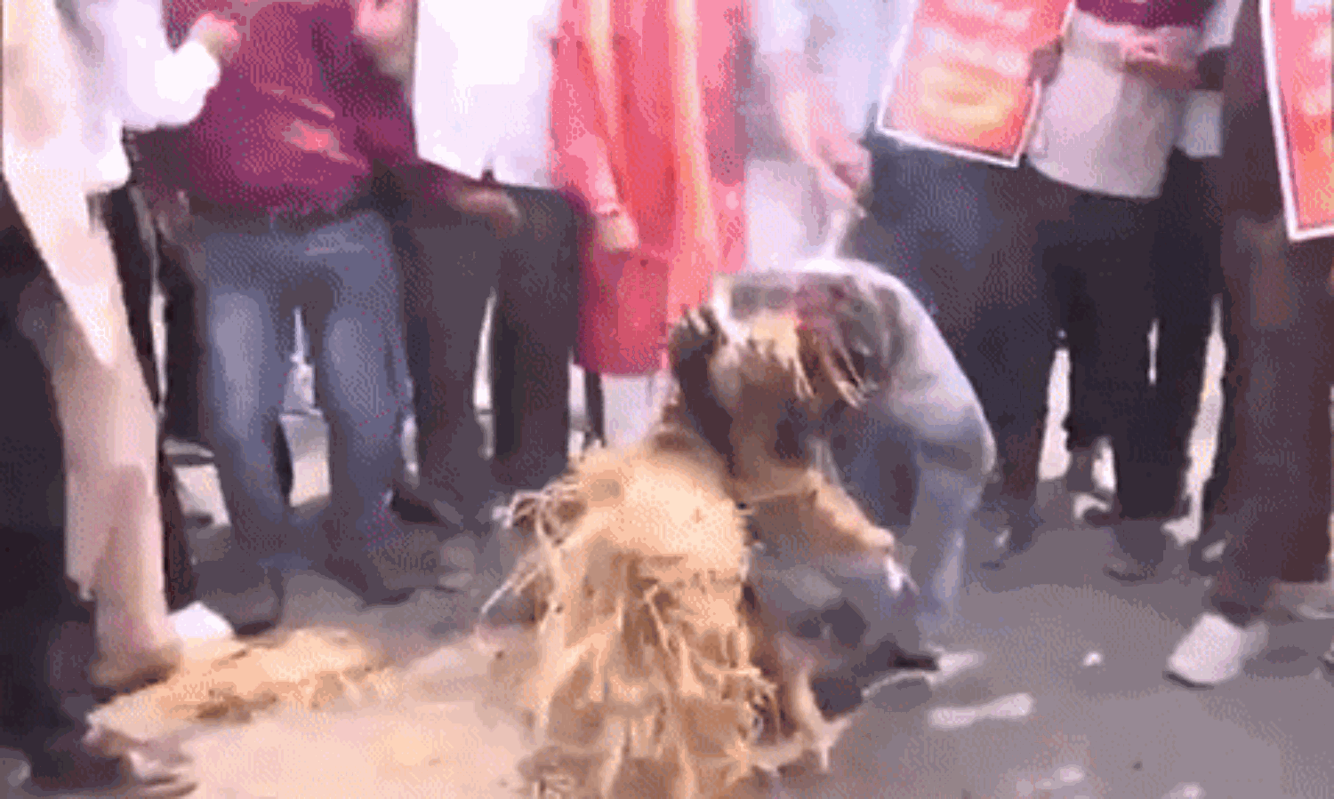 भोपाल में ABVP का प्रदर्शन, टीचर को फांसी दो के लगाए नारे