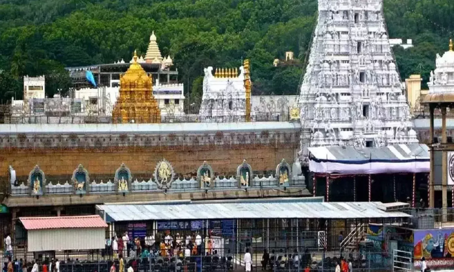 आस्था के नाम पर खिलवाड़! तिरुपति बालाजी मंदिर के प्रसाद में बीफ मिलने की पुष्टि, मचा बवाल