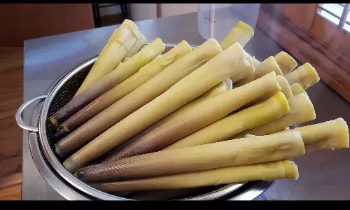 बांस का अचार पोषण से भरपूर और स्वास्थ्य के लिए लाभकारी