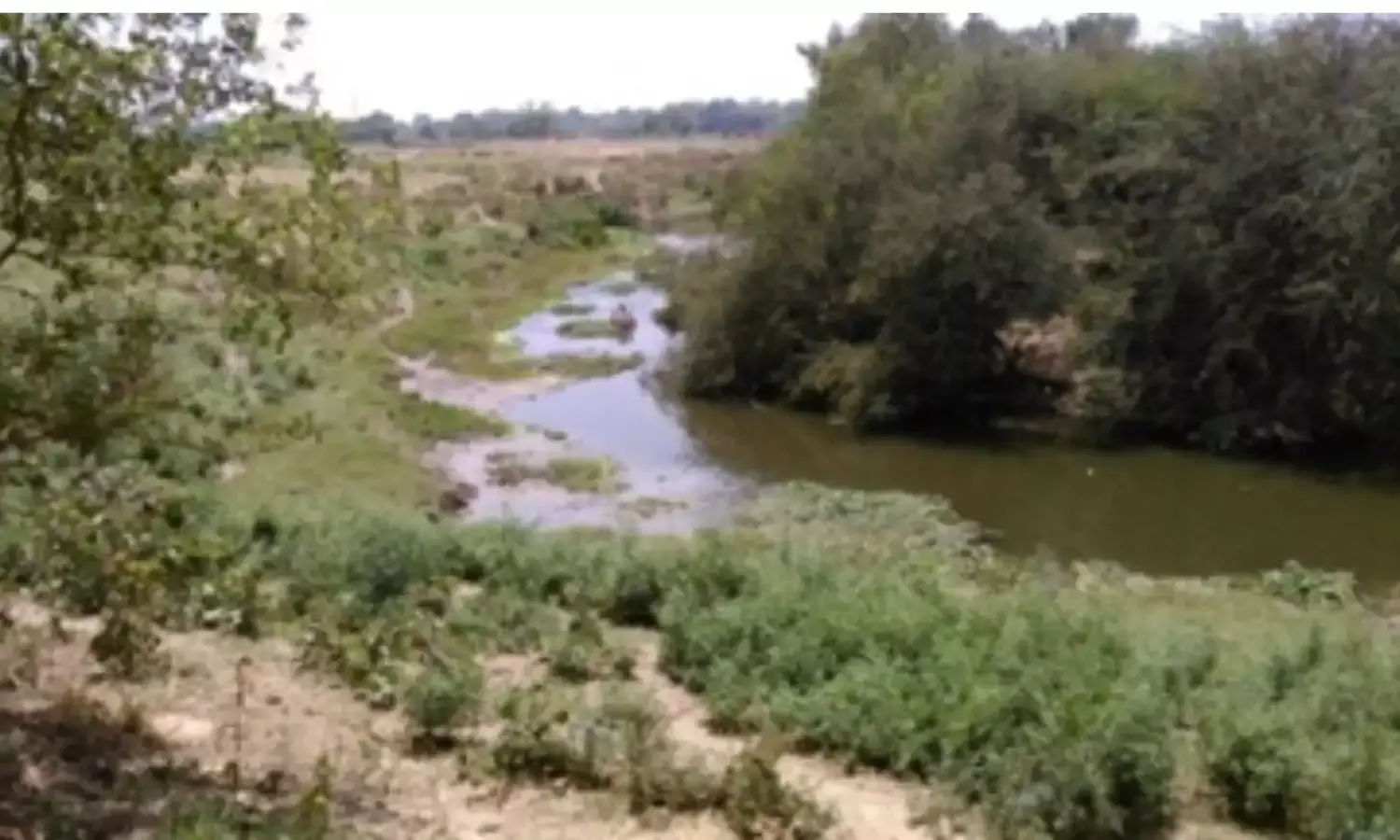 रेठ नदी का पानी कहीं न बन जाए कहानी, प्रदूषण और अतिक्रमण से पौराणिक महत्व वाली रेठ नदी का अस्तित्व संकट में …