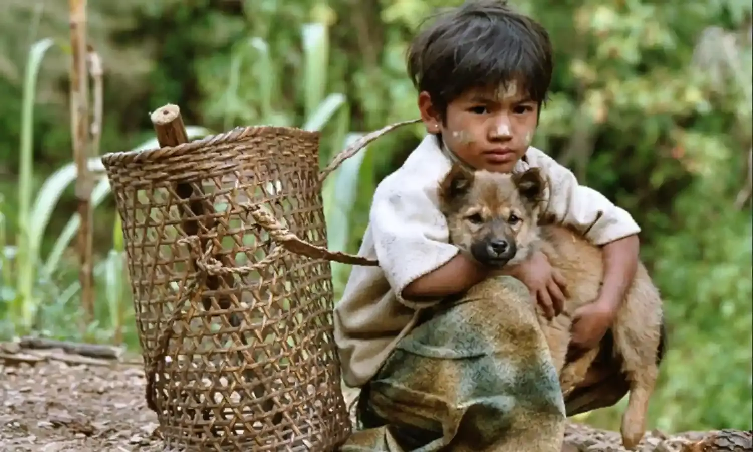 कुत्ते के अलावा इन जानवरों के कटाने से होता है रेबीज, जिससे साल भर में जान गंवाते है हजारों लोग