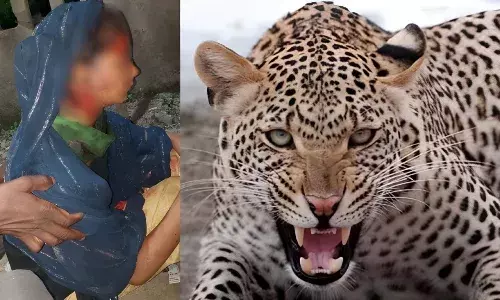 बहराइच में आदमखोर भेड़िये के साथ अब तेंदुए का आतंक, घर में सो रही लड़की पर किया हमला